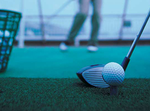 Norwegian Cruise Line Pride of America Exterior golf cage.jpg
