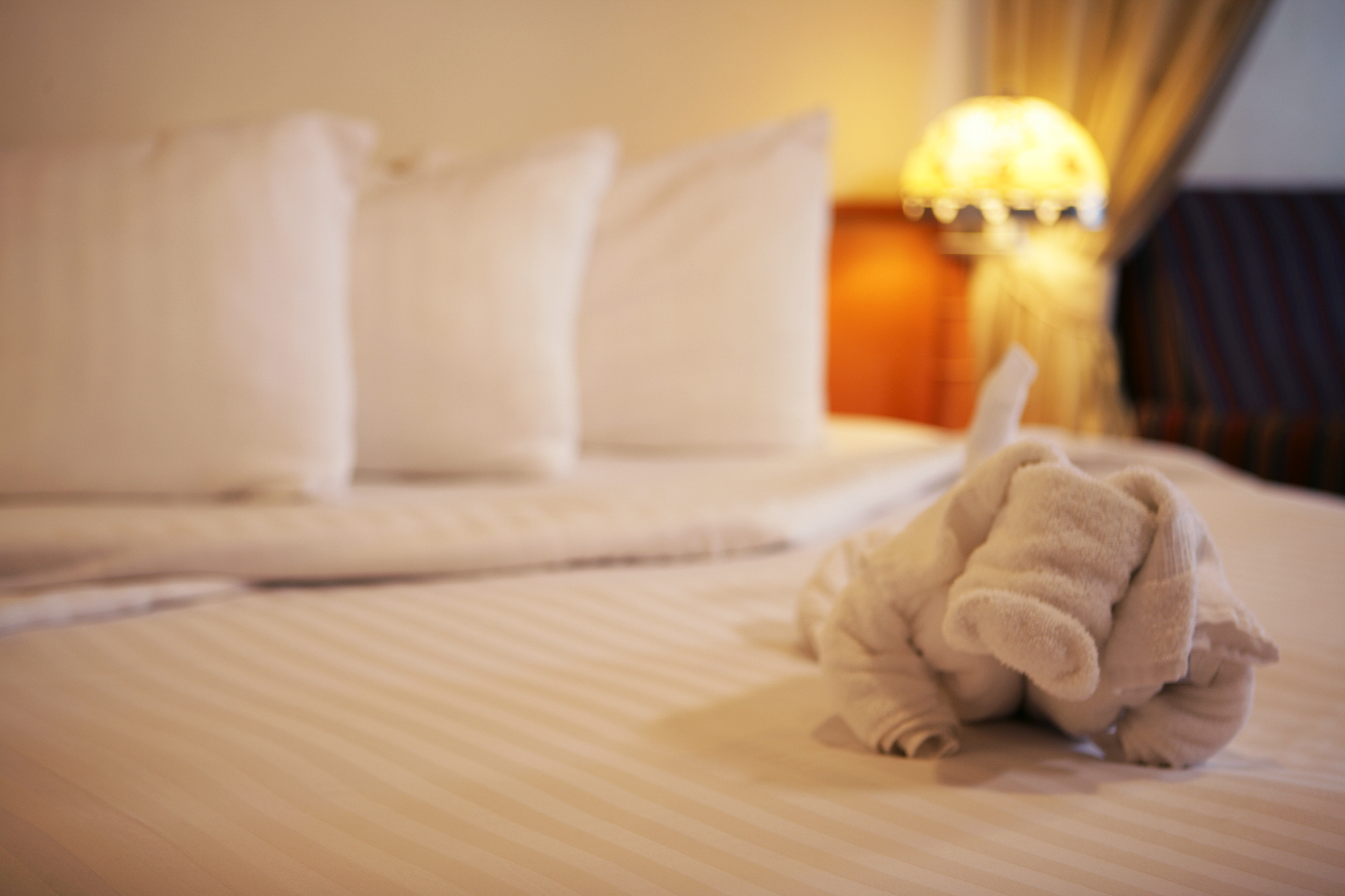 Disney Cruise Line Accommodation Towel Animal in Stateroom.jpg