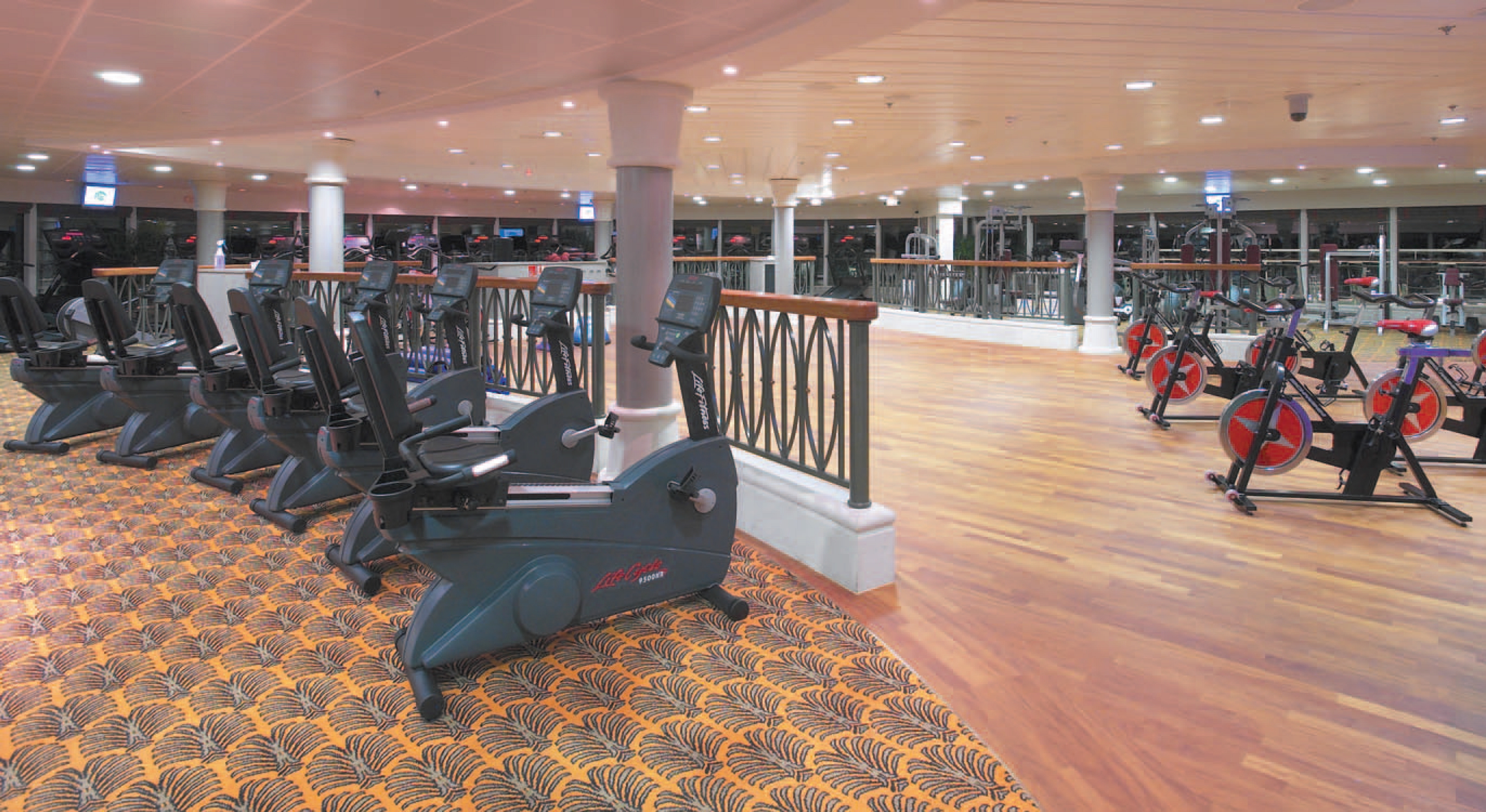 RCI_Serenade_FitnessCenter.jpg