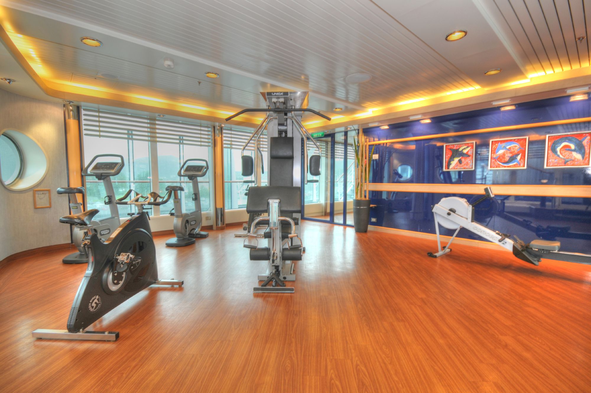 Hurtigruten Cruise Lines MS Fram Interior Fitness Room 3.jpg