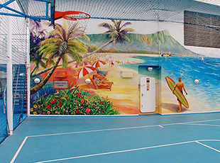 Norwegian Cruise Line Norwegian Sky Exterior Basketball:Volleyball Court.jpg
