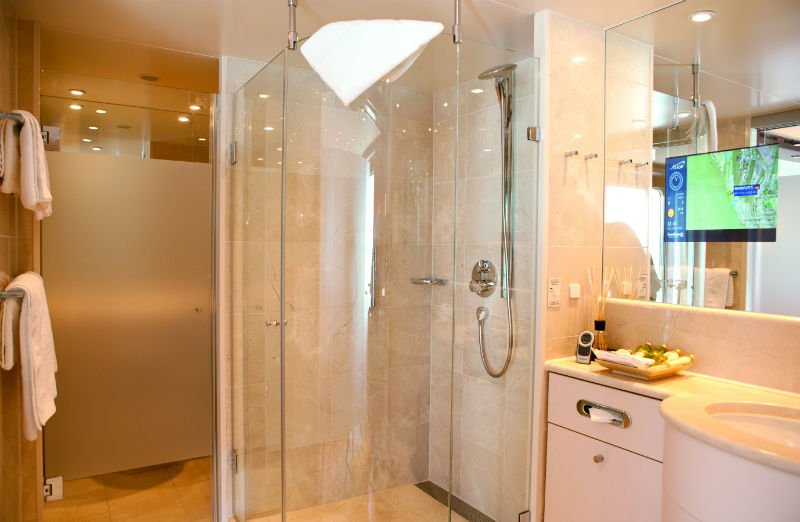 Cruise & Maritime Voyages Astor Accommodation Senator Suite Bathroom.jpg