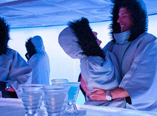 Norwegian Cruise Line Norwegian Epic Interior SVEDKA Ice Bar.jpg