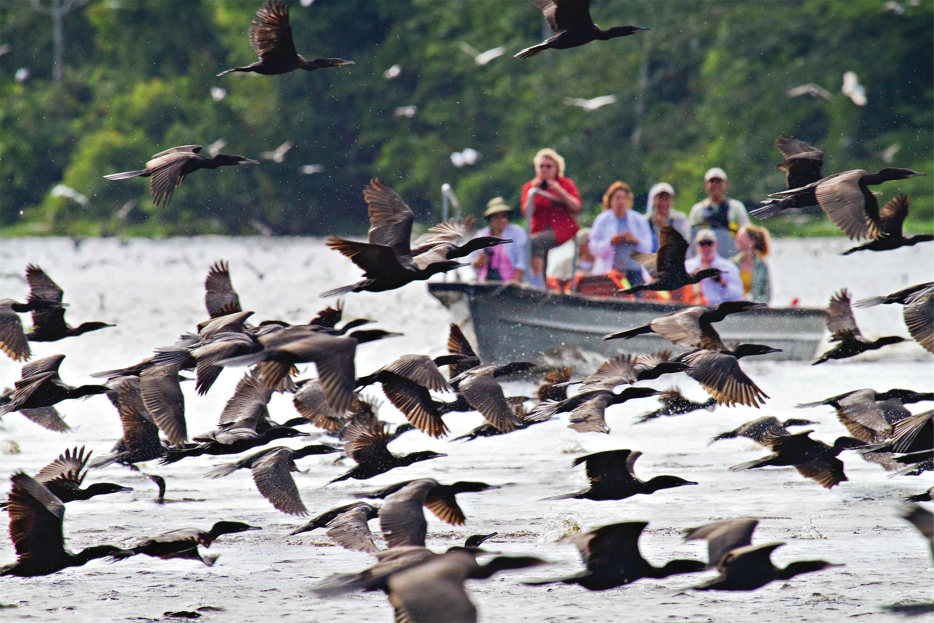 Lindblad Expeditions Delfin II Exterior Exploring the Amazon.jpg