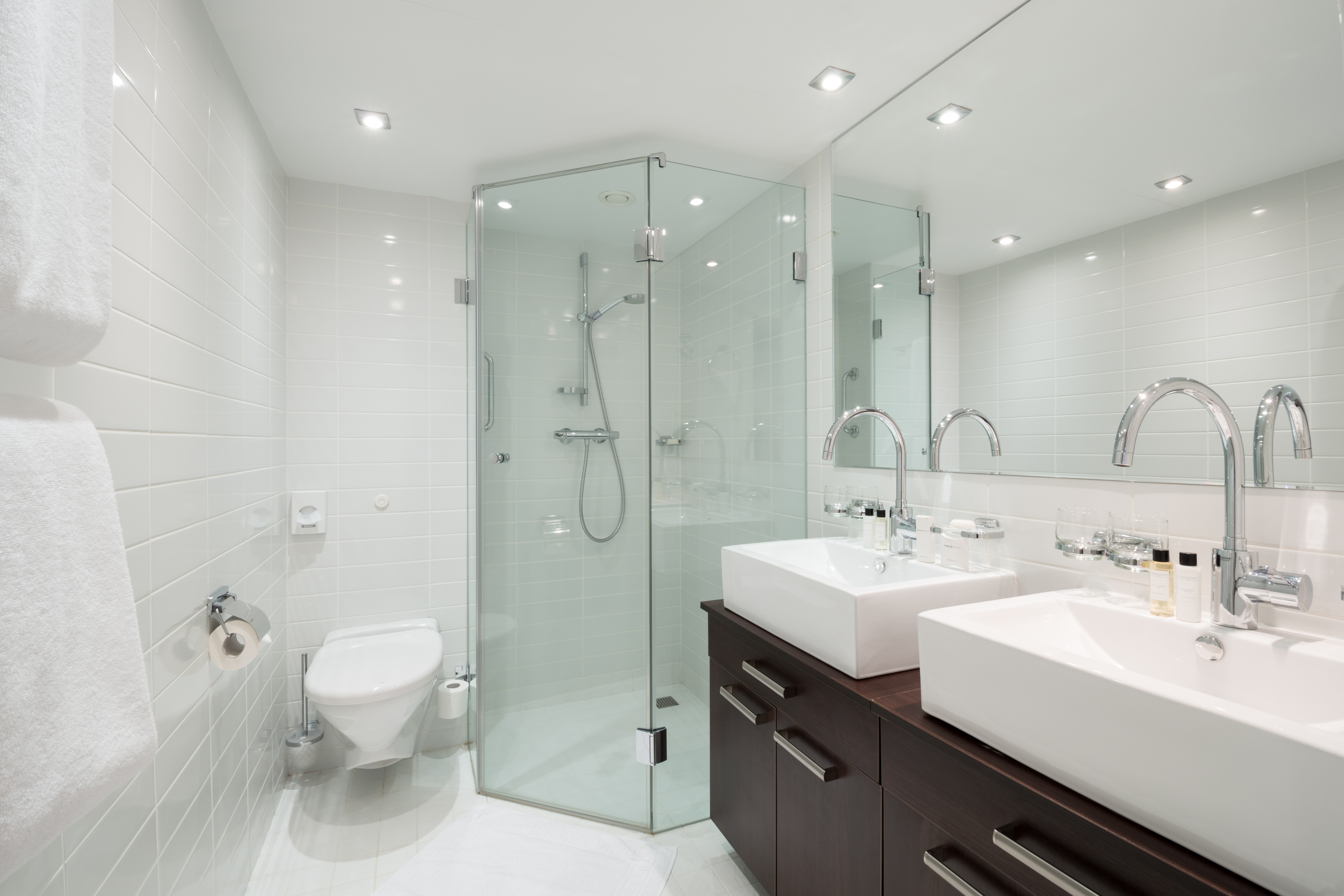 Scenic Tsar Accommodation Royal Panorama Suite Bathroom 1.jpg