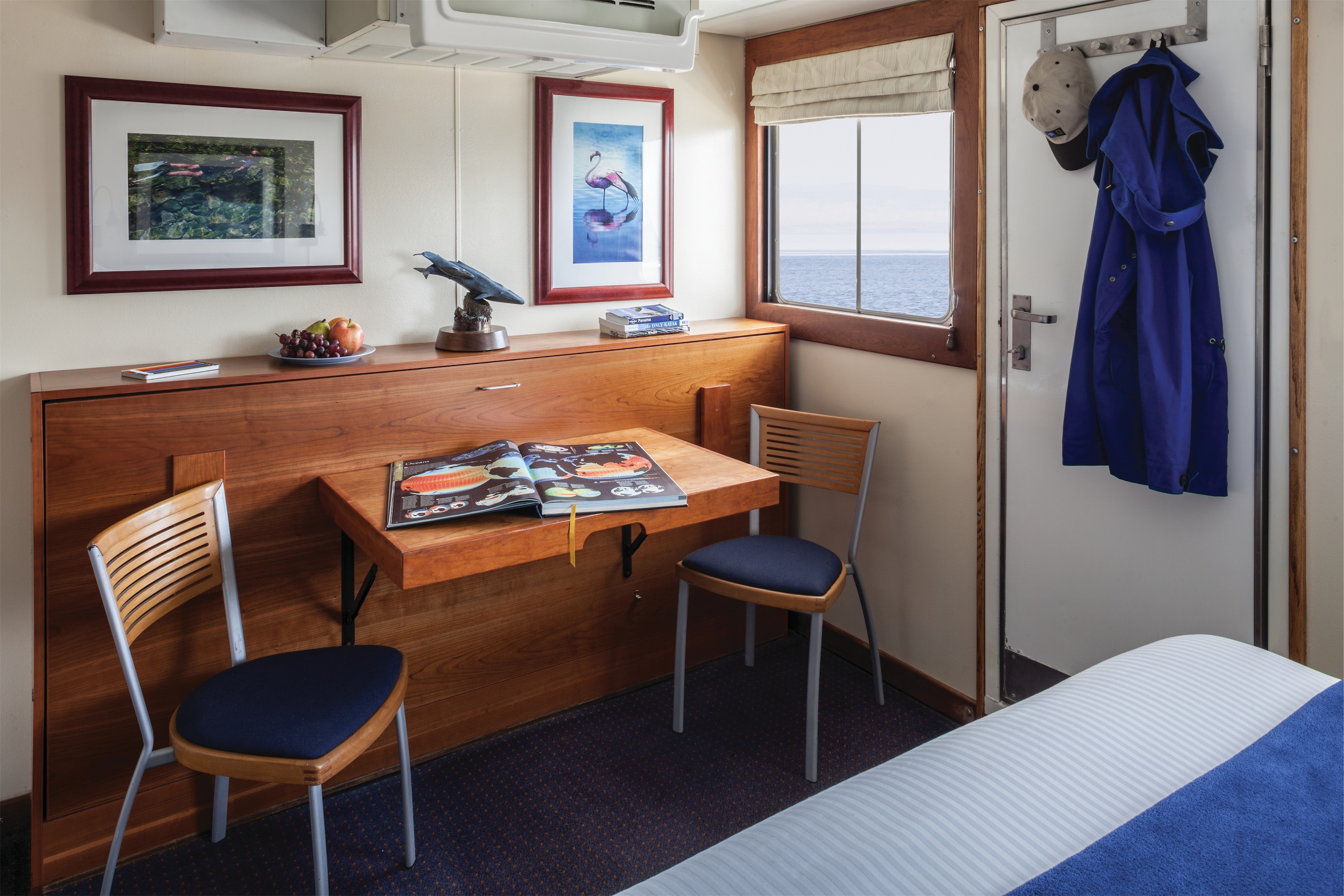 Lindblad Expeditions National Geographic Sea Bird & National Geographic Sea Lion Accommodation Category 3 Desk.jpg