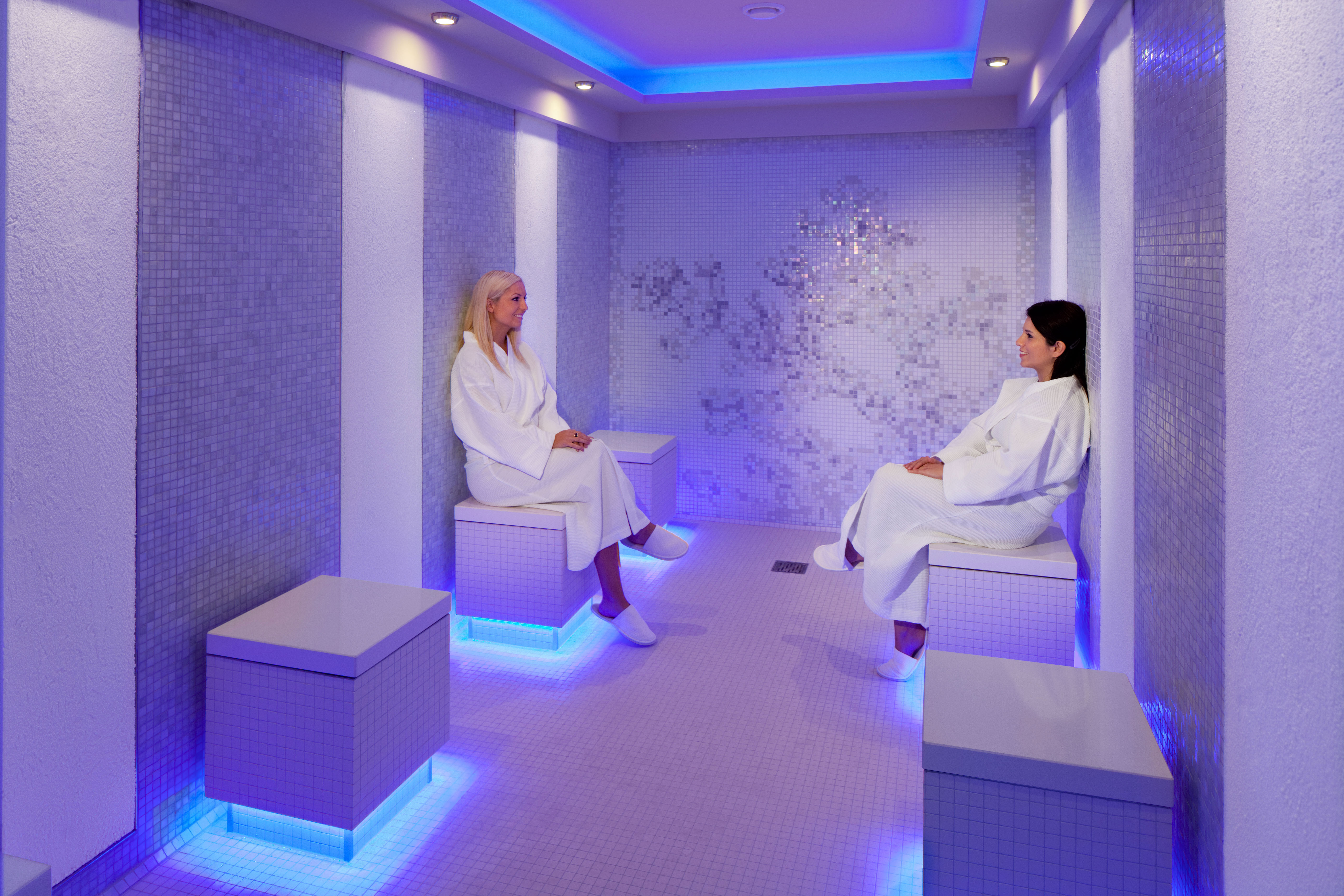 Celebrity Cruises Celebrity Silhouette Interior ColdRoom.jpg