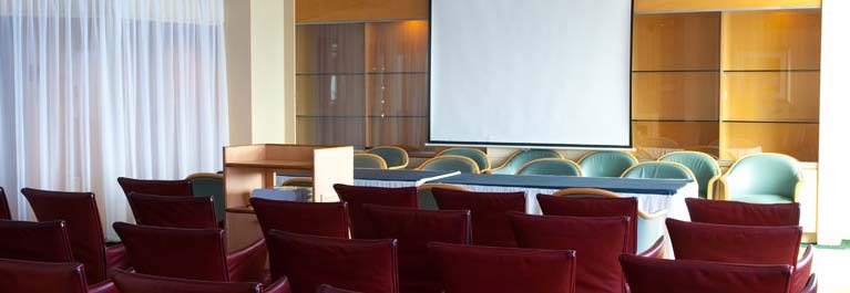 Pullmantur Horizon Meeting Room.jpg