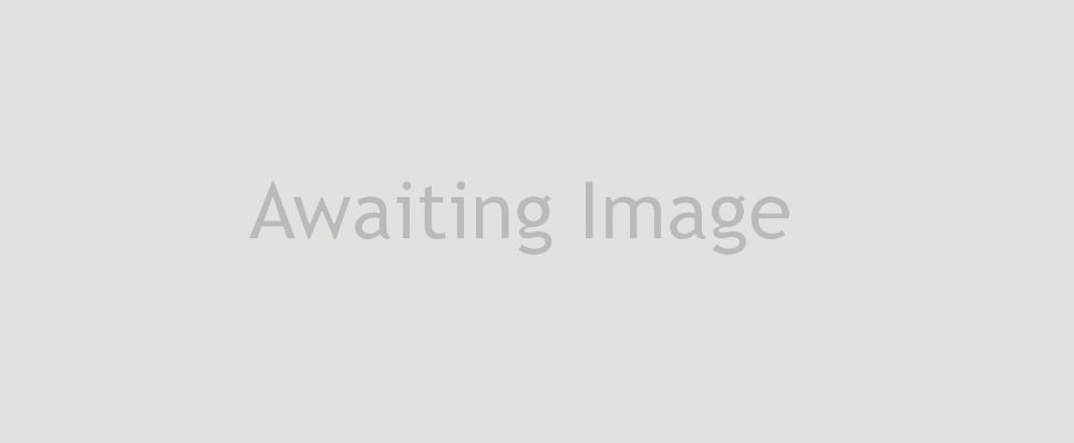 awaiting_image.png