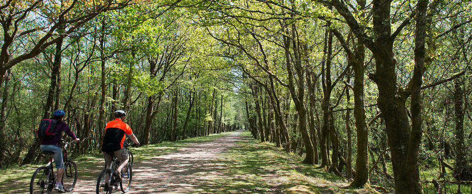 old-railway-2bright best.jpg