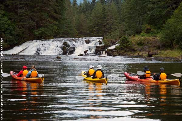UnCruise Safari Endeavour Excursions Kayak.jpg