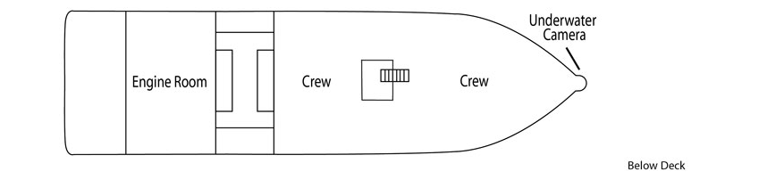 UnCruise Wilderness Discoverer Deck Plans Below Deck.png