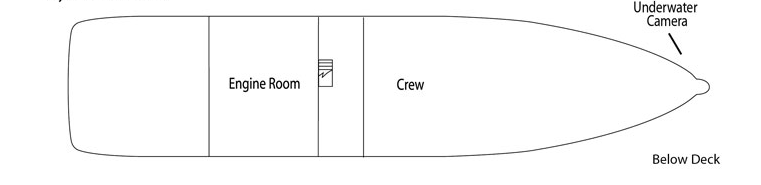 UnCruise Wilderness Explorer Deck Plans Below Deck.png