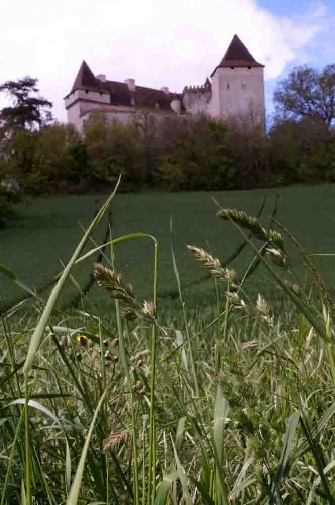 European Waterways Rosa Chateau _2_.jpg