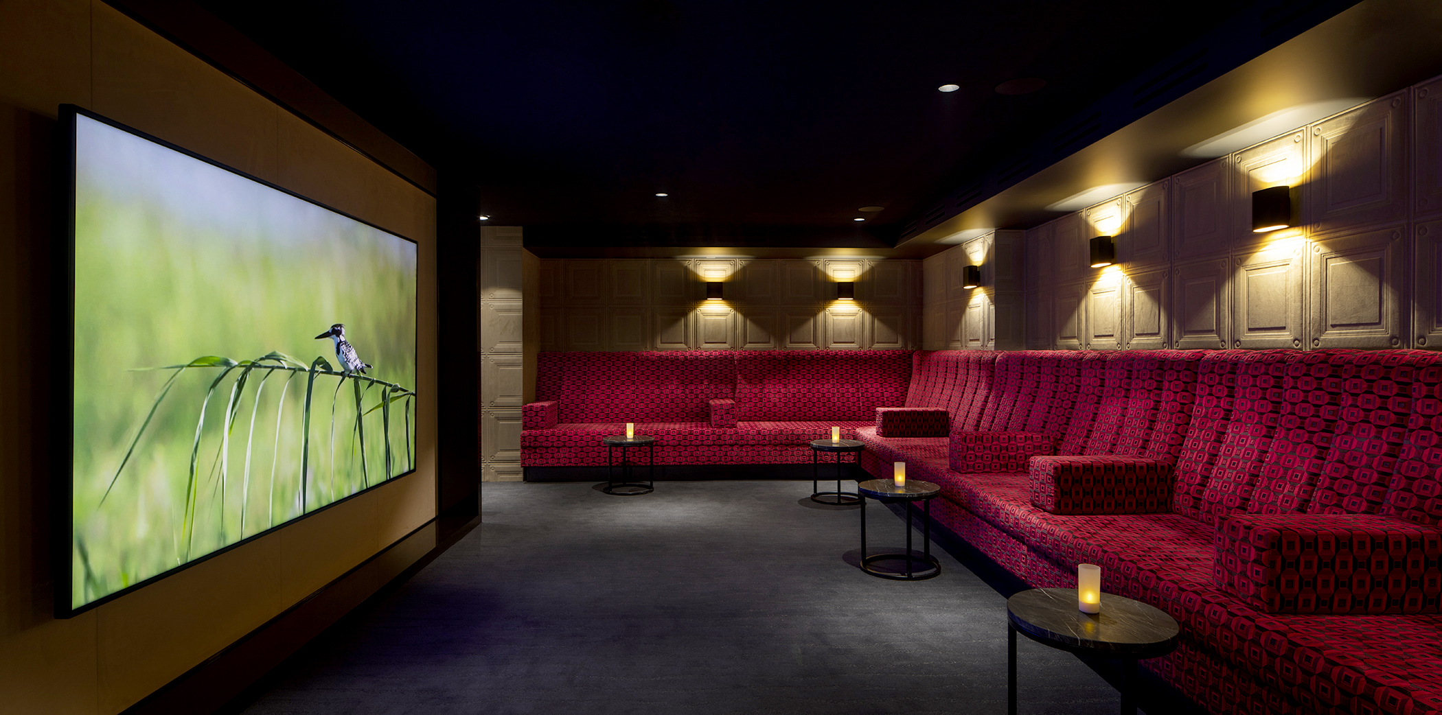 AmaMagna2019_Cinema.jpg