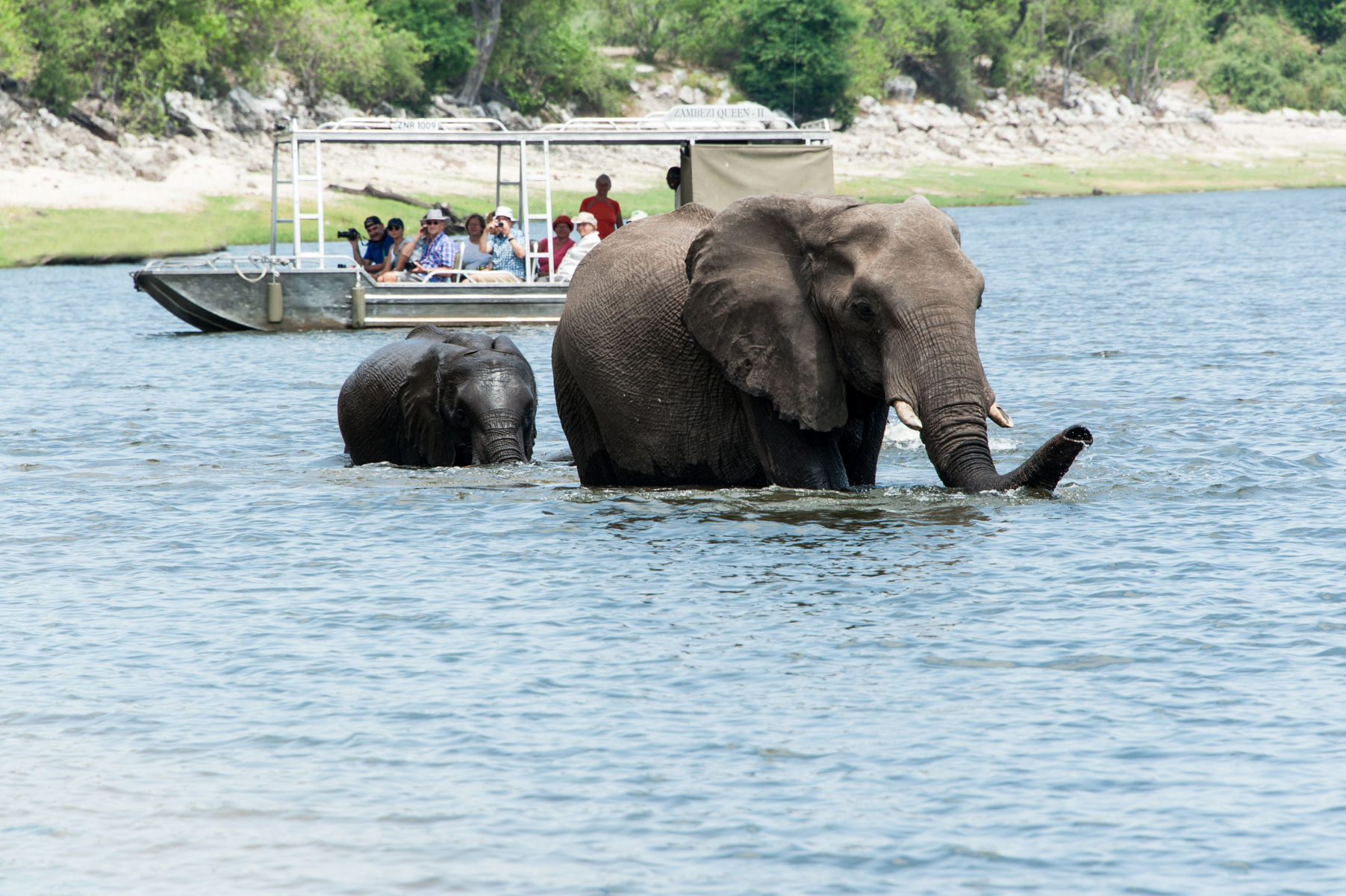 AmaWaterways - Zambezi Queen - Enrichment - Game Drives - photos _1_.jpg