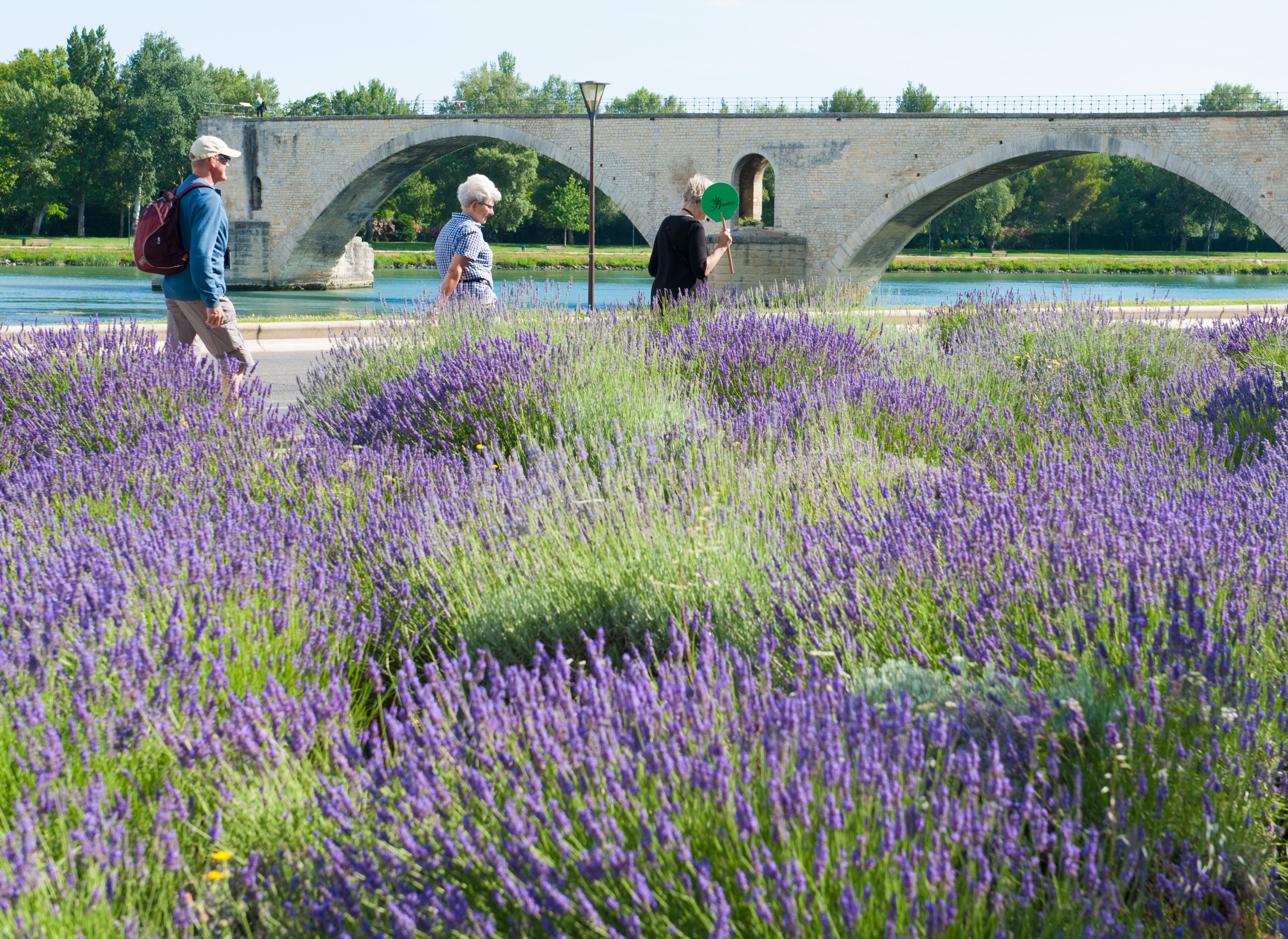 Amadeus Audio-Guides