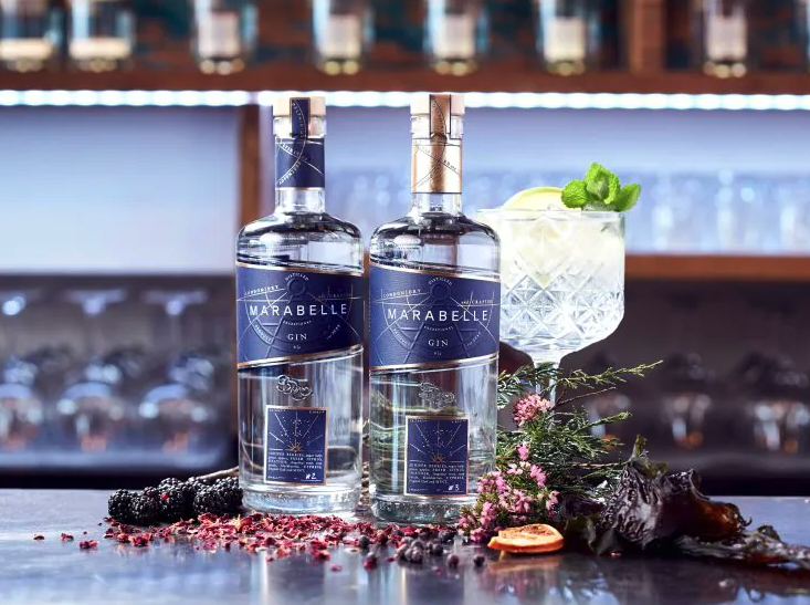 Salcombe Gin Distillery