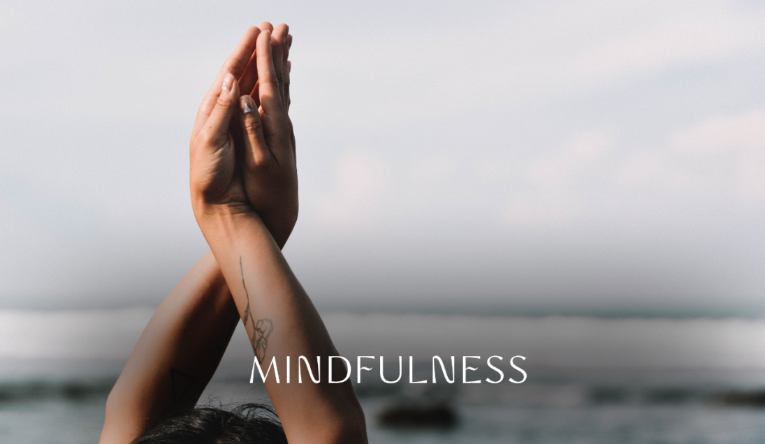 Ocean Wellness Wellbeing