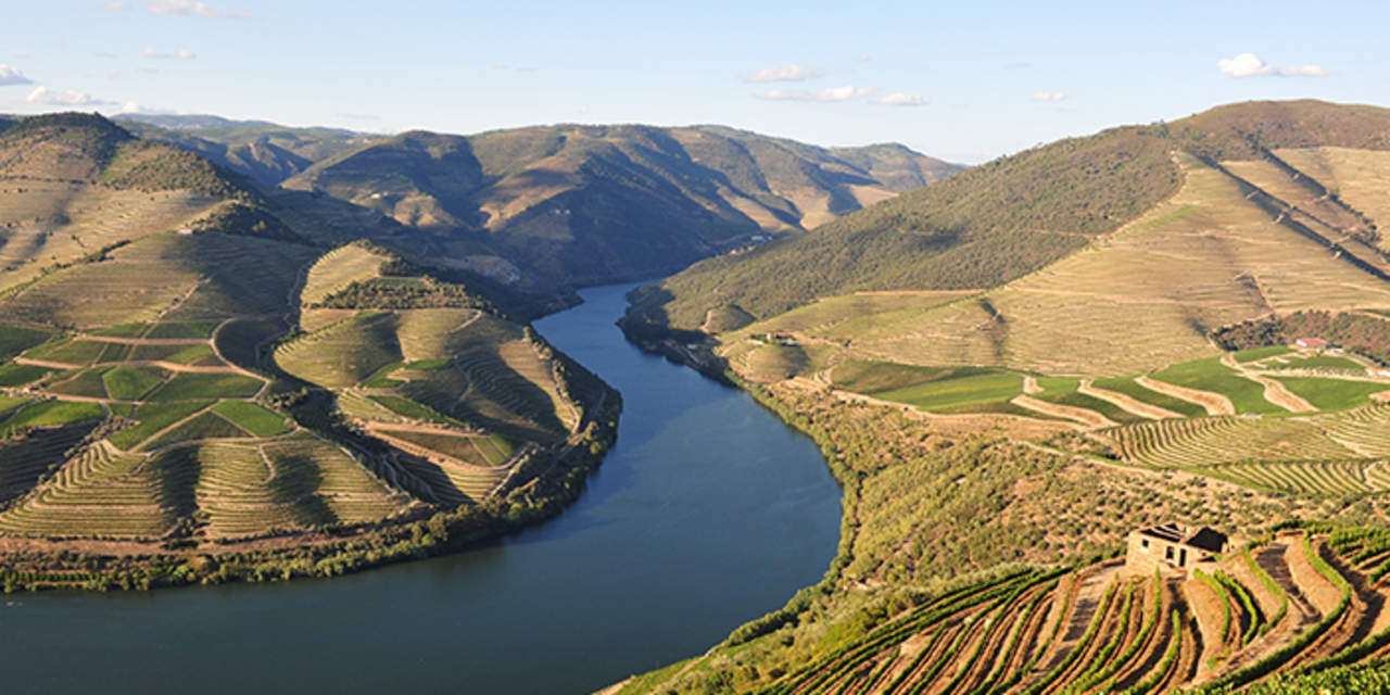 PTPGA Regua Douro.jpg