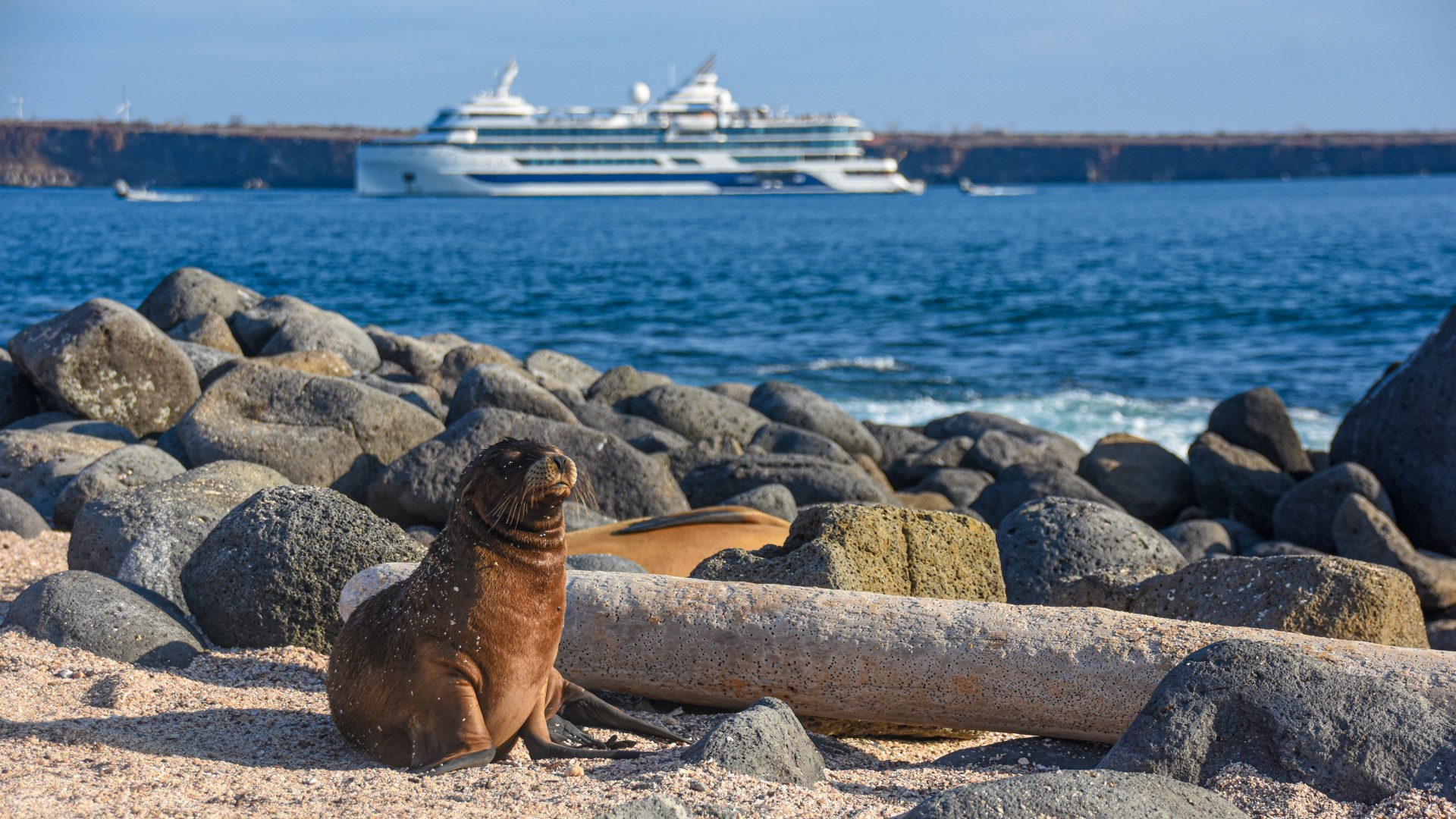 Galapagos Cruises