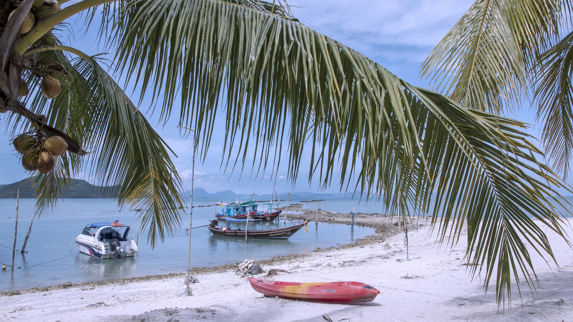 Cruise Image 24