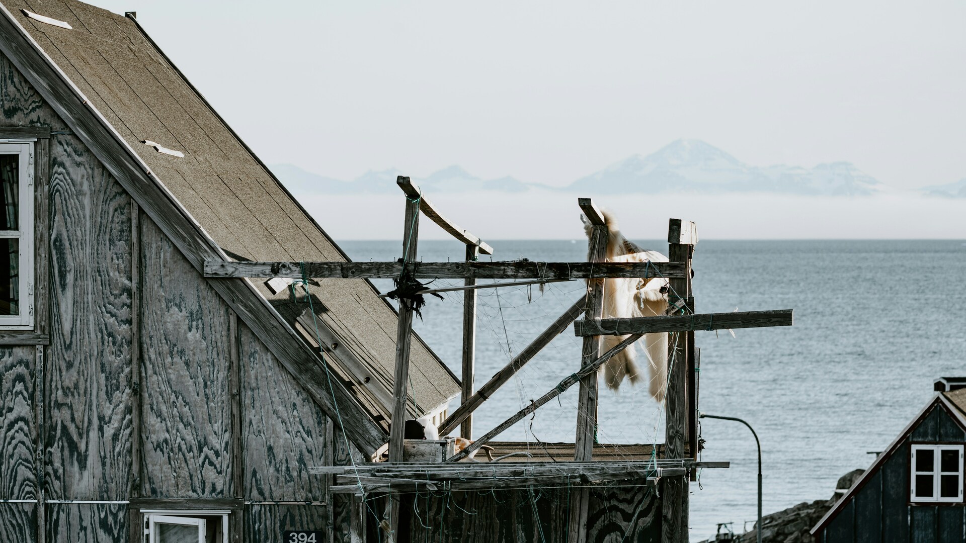 Cruise Image 2