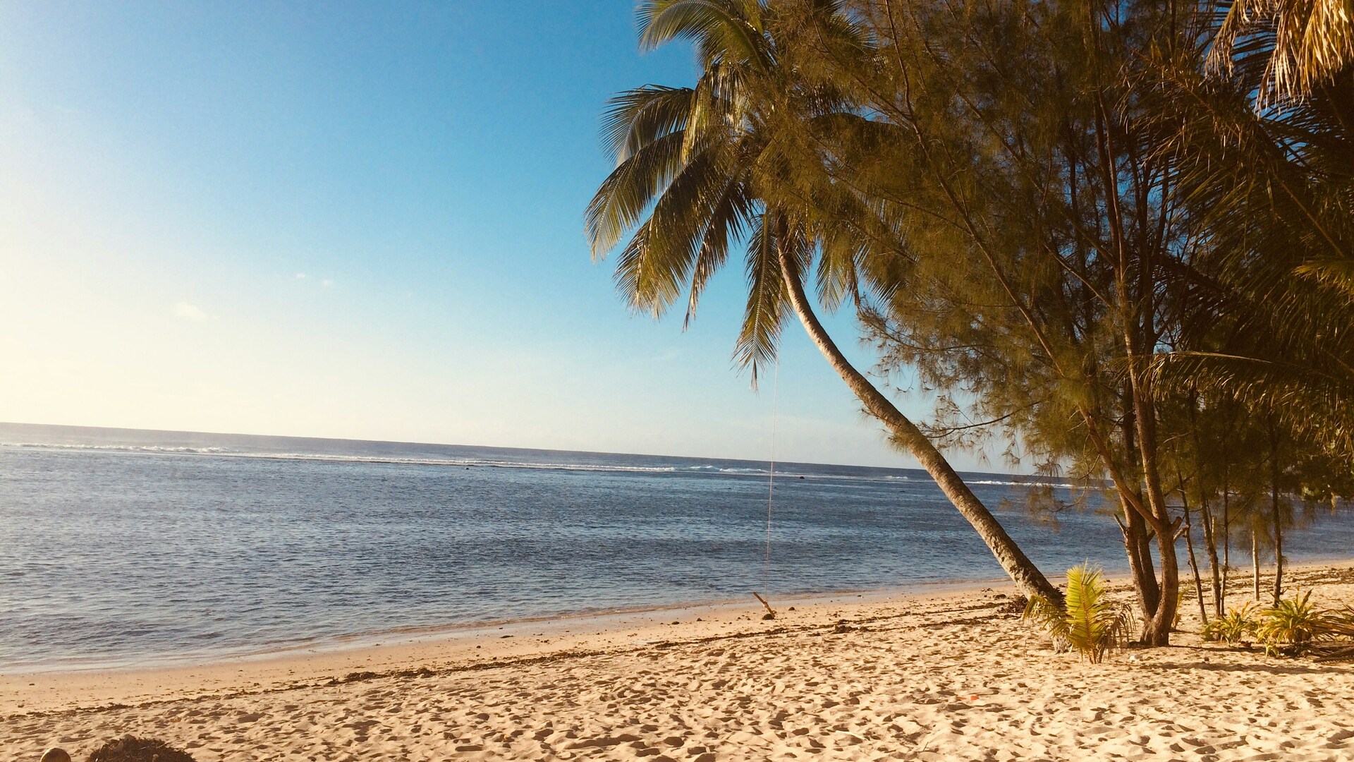 Cruise Image 1