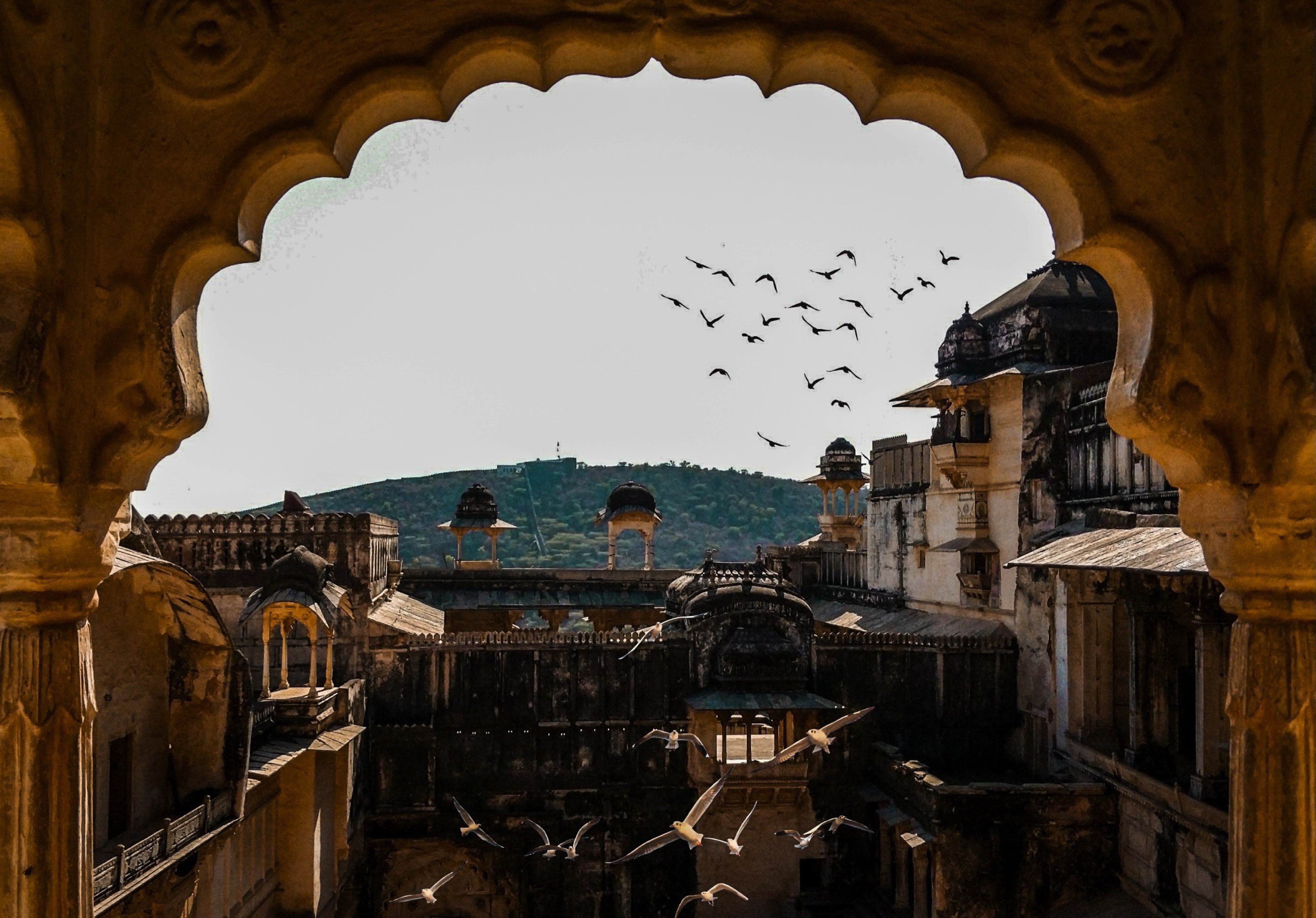 Bundi