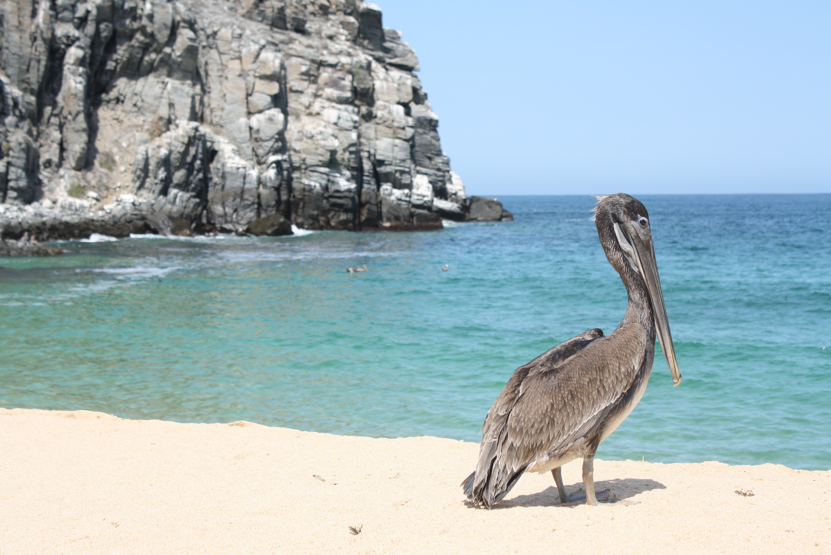 San Esteban Island, Mexico