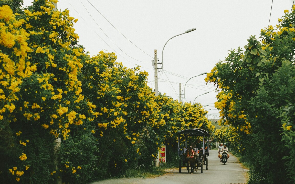 Ben Tre, Vietnam