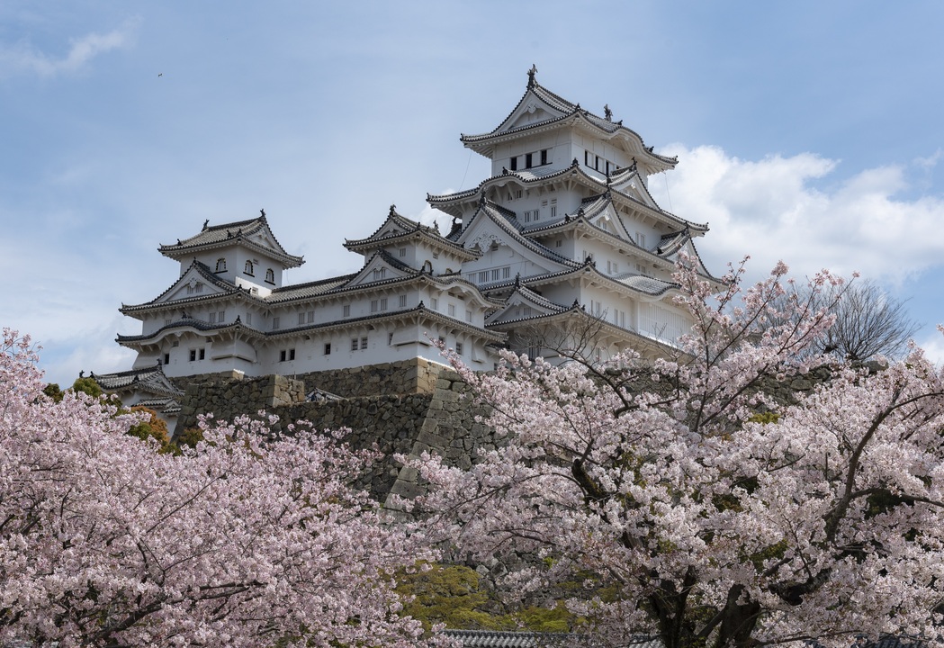 Heritage Castle, Kochi, KJapan