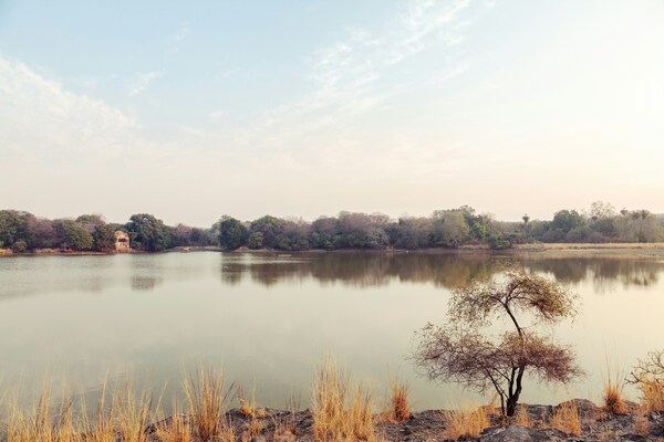 Ranthambore National Park, Rajasthan, India