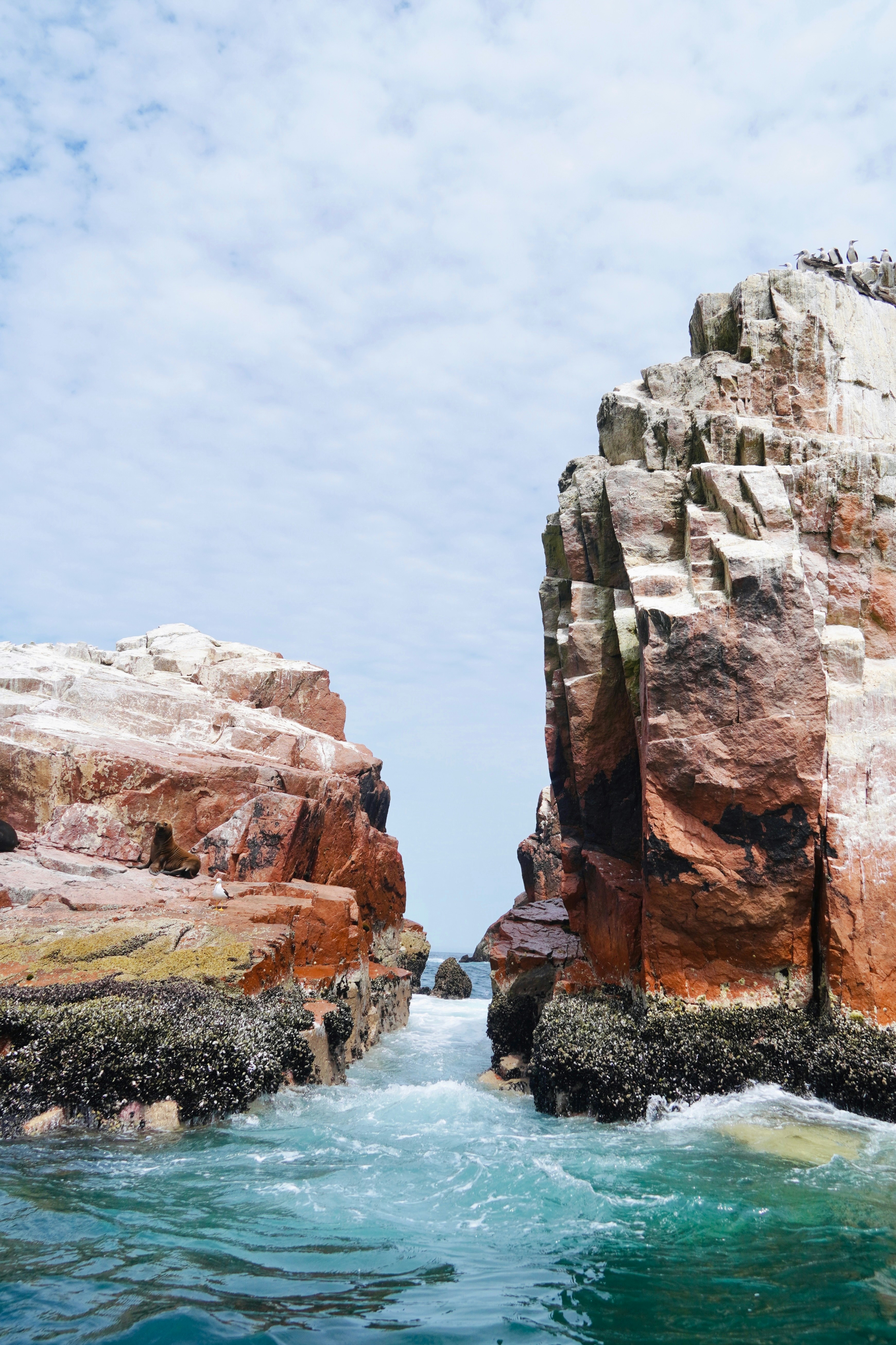 Paracas, Peru